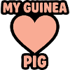 Guinea Pig Love Cuddle Buddy Pet