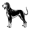 Schwarz-Tan-Coonhound