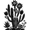 Fleurs de cactus