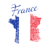 France Pinselflagge Kunst