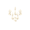 Échiquier des joueurs d’échecs