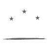 Manager Profession