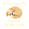 Sleeping Puppy Please Sleep