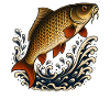 Carp Jump Over Waves Fish