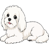 White Fluffy Dog Cartoon
