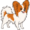 Papillon Cartoon Orange White Fur