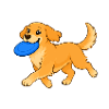 Cheerful playful Dog with frisbee.