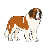 Bunte Illustration eines Bernhardinhunds