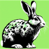lapin