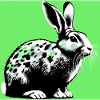 lapin