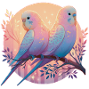 Budgies