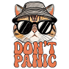 Cat with hat and sunglasses
