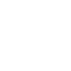 Fleur celtique (blanc)