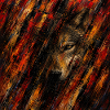 Loup abstrait en flammes
