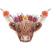 Blumenkrone Hochlandrind