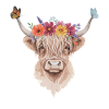 Blumenkrone Hochlandrind Illustration