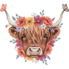 Blumenkrone Hochlandkuh