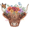 Hochlandkuh Blumenkrone