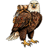 Outdoor Eagle