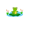 Frog Catcher Puddle Watcher Skilled Frog