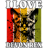 J’adore Devon Rex