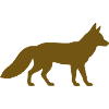 Fuchs Silhouette