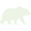 Silhouette d’ours vert doux
