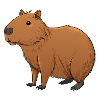 Capybara