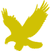 Aigle