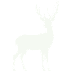 Hirschsilhouette im Mondlicht