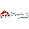 PAW Patrol Marshall