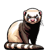 Don't Bother Me Ferret Ferret Owner