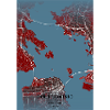 Carte stylisée de San Francisco