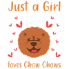 Chow Chow Dog