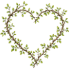 Heart of branches and leaves