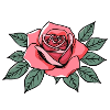 Red Rose Floral Gift Birthday