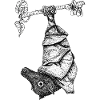 Fledermaus