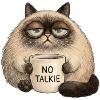 The Unimpressed Cat