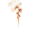 Tentacule de fumée ambré