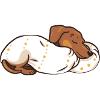 Cadeau Sleeping Dog Teckel