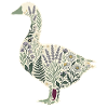Botanische Gans Blumen Natur