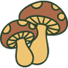 Mushrooms Nature Illustration
