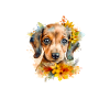 Dackeltherapie-Kunst
