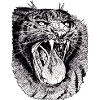 Ferociously roaring tiger