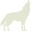Loup