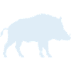 Blue Wild Boar Silhouette