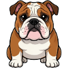 Bulldog Dog Gave Bulldogs ejer