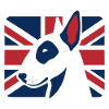 British Bull Terrier Union Jack Dog