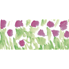 Das Leben ist eine Blumenwiese