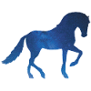 Cheval et univers